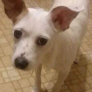 Meet your Posher, Phyllis